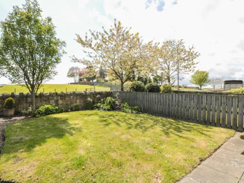 Appletree - image 12