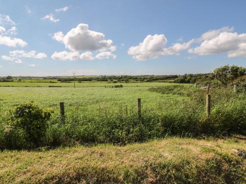 Maes Y Coed - image 5