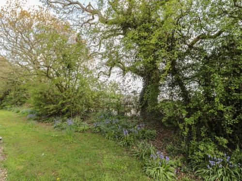 Robin Cottage - image 12