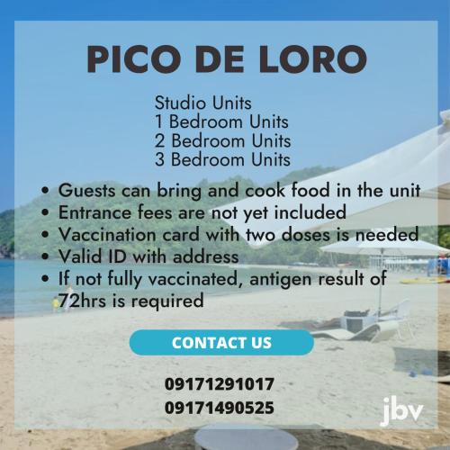. JBV Pico De Loro Beach Condos