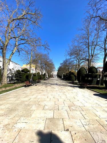 Grand Plaza Mio Cid - image 13