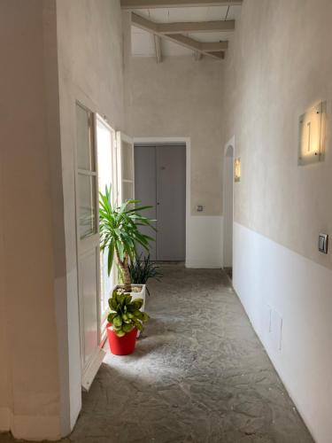 Casa Blanco - image 10