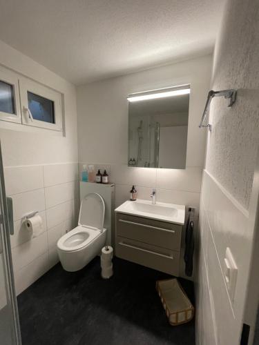 Studio Gocki, Zürich (photo 9)