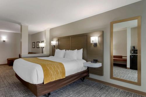 Comfort Inn - image 9