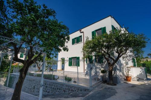 Villa La Pagaia Sorrento Coast Villa La Pagaia Sorrento Coast