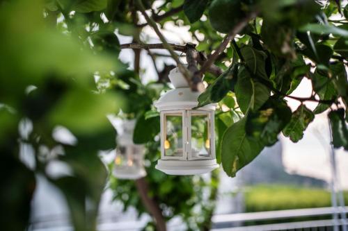 Villa La Pagaia Sorrento Coast Villa La Pagaia Sorrento Coast