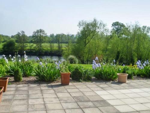 Herons - image 2