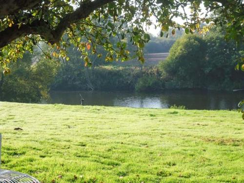 Herons - image 12