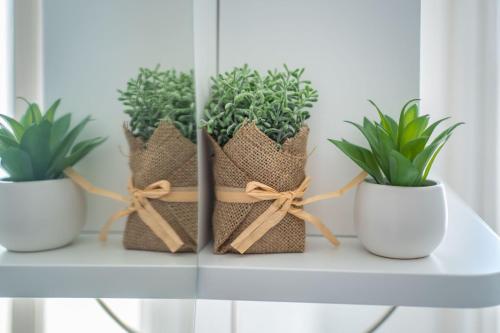 Villa La Pagaia Sorrento Coast Villa La Pagaia Sorrento Coast