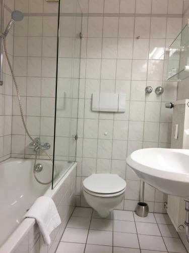 Hotel Schweizer Hof - image 10