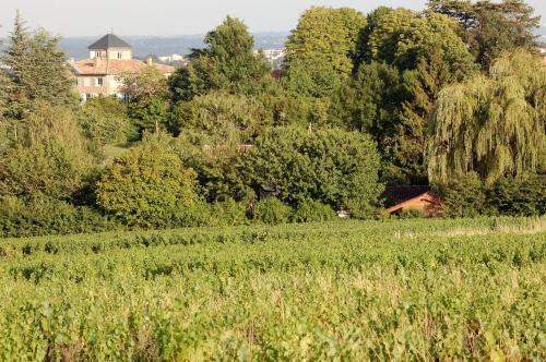 Le Montellier - image 10