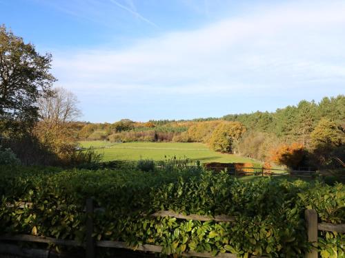 Long Meadow in Graffham