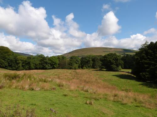 Deer Lodge Blackburn - image 9
