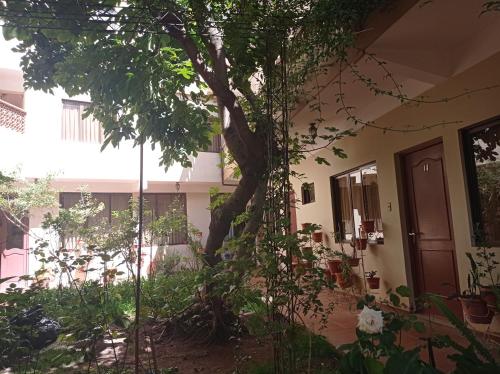 Seadmed, Hostal Aramayo in Tupiza