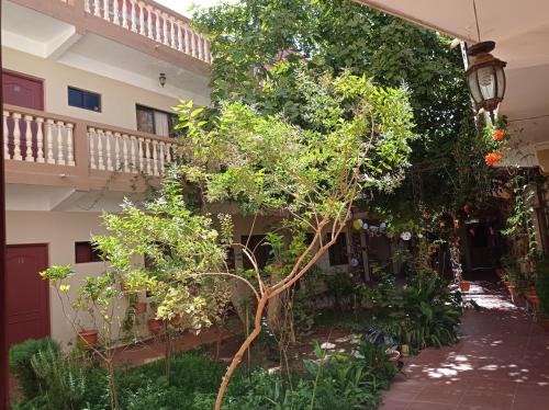 Aed, Hostal Aramayo in Tupiza