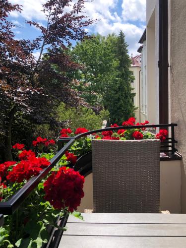 Three-Bedroom Apartment with Balcony image 3