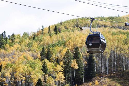 Tamarisk Alpine Condo: Great Location Pool/Hot Tub - image 4