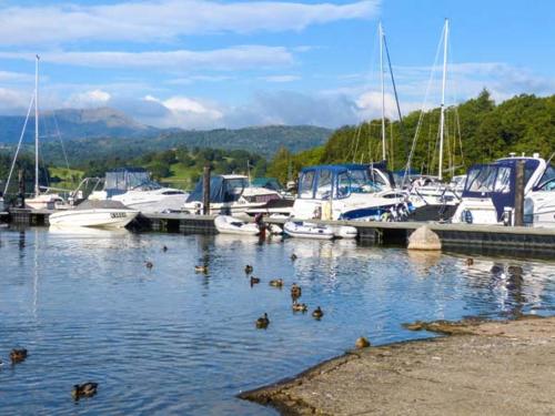 Coniston Number 9 - image 6