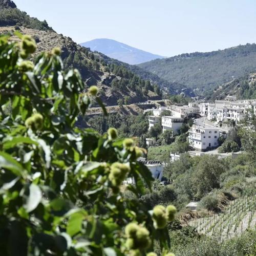 Alojamiento rural con vistas al rio Trevelez