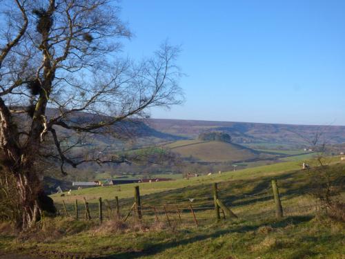 Little Byre Cottage Sutton - image 12