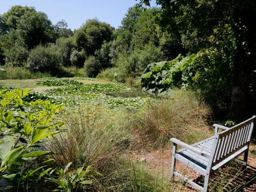 Jane's Place Launceston - image 7