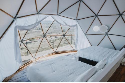 Domoss Valle in เอนเซนาด้า