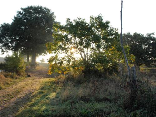 Domaine de La Madeleine