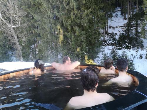 GORA - Вила Villa for 22 Guests, Пампорово, Rhodope Mountains in Progleda