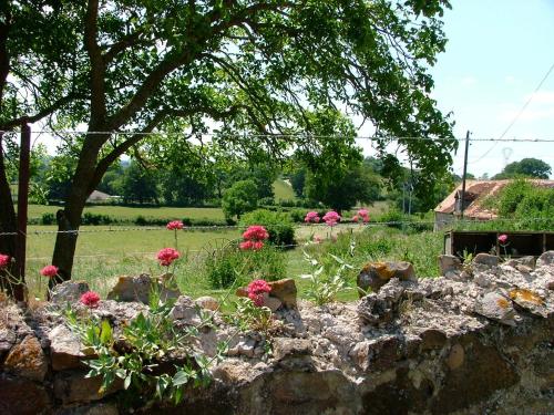 Domaine de La Madeleine