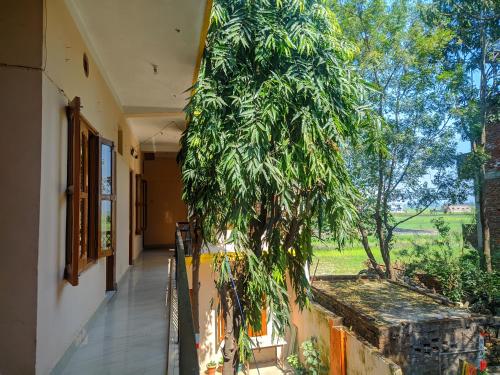 Exterior view, Lumbini Garden Lodge in Lumbini