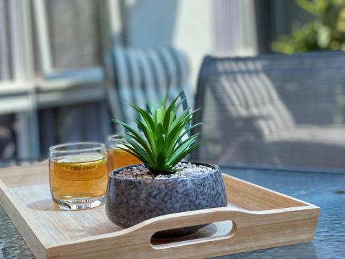 Capelink Beach House-Atop Prestigious Oliver's Hill