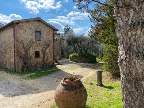 Bandita - Tenuta di Montechiaro - Location saisonnière - Vico dʼArbia