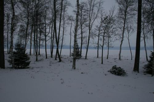 Trepimae Holiday House in Tartumaa