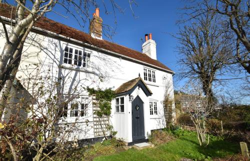 Rose Mullion Cottage - Cliff End