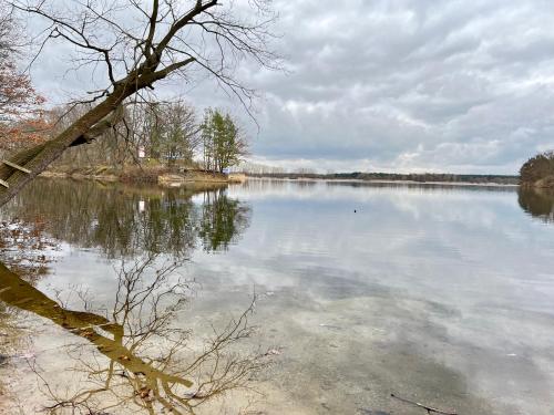 "Elbparadies" Ferienhaus am Niegripper See mit Pool