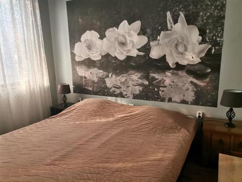 Vival Hotel - image 5