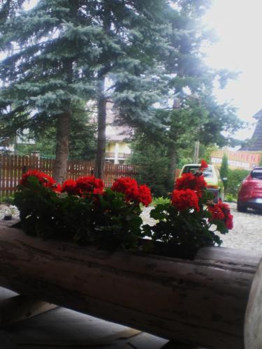 乌亚斯卡家庭式旅馆 乌亚斯卡家庭式旅馆