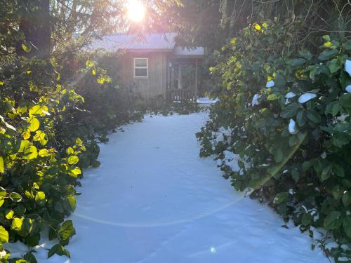Lopez Farm Cottages