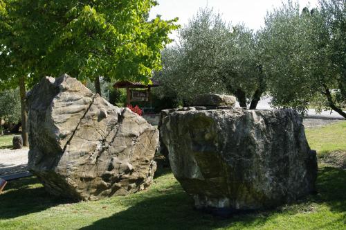 Agriturismo Il Falco - image 9