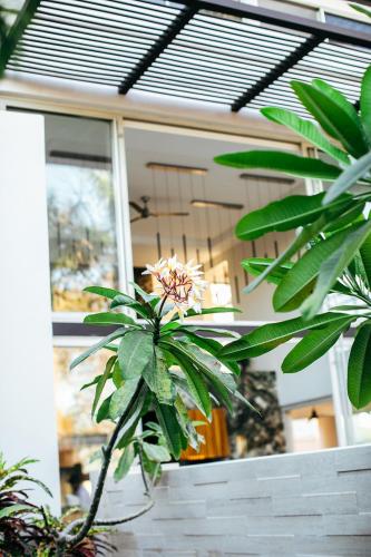 344818206 Mother Earth Luxury Boutique Hotel, Restaurant & Spa