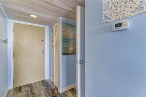 Sand Dollar - image 14