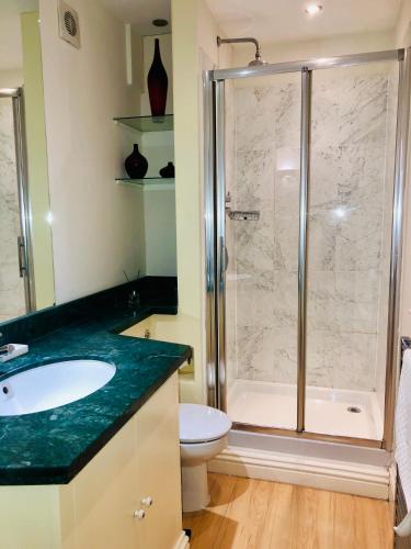 Contemporary large apartment in an ideal location, Bath (foto 10)