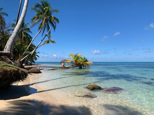 Natural Suites ENSUEÑOS Natural Reserve (Natural Suites ENSUENOS Natural Reserve) in Little Corn Island