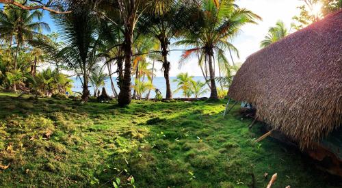 Taman, Natural Suites ENSUEÑOS Natural Reserve (Natural Suites ENSUENOS Natural Reserve) in Little Corn Island