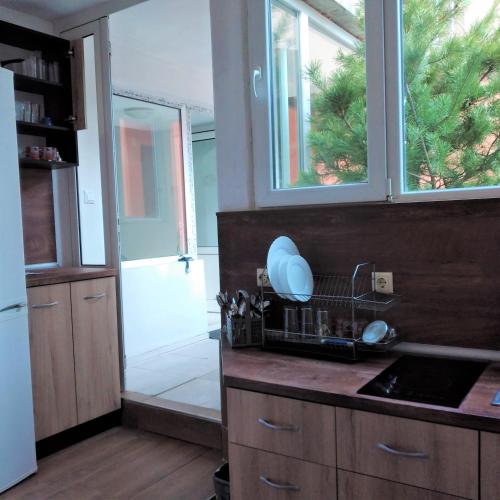 ViBo Guesthouse in Sapareva Banya
