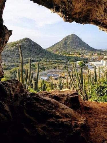 Aruba Backpackers