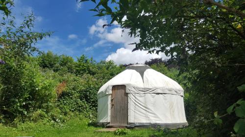 South Downs Eco Lodge & Camping Room Type - Tent