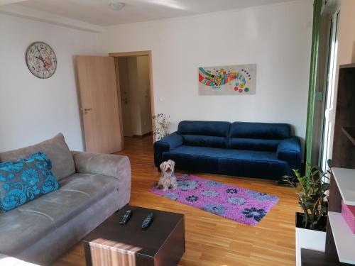 Shumice Apartment Belgrade