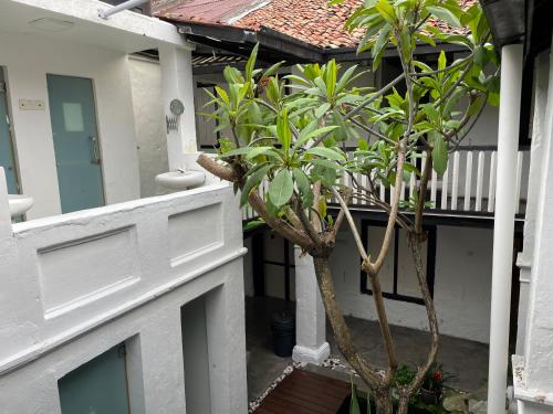 Layang Layang Guest House Melaka