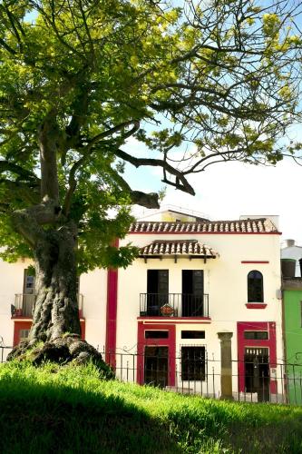 B&B Tunja - Hotel Aroma del Bosque Posada Cafe - Bed and Breakfast Tunja